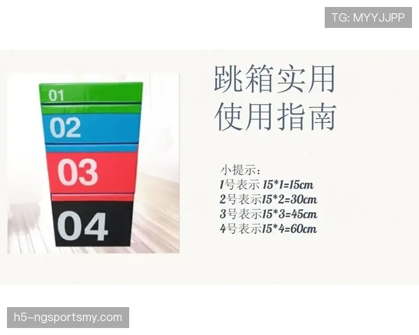 篮球垂直起跳规则的详细解析与适用范围